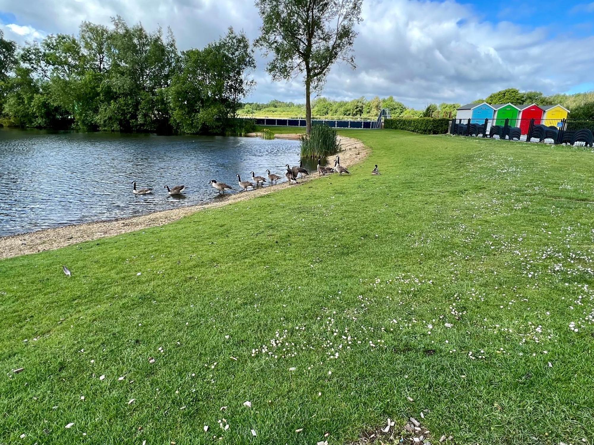 Bluebell Lodge, Dog Friendly South Cerney Bagian luar foto